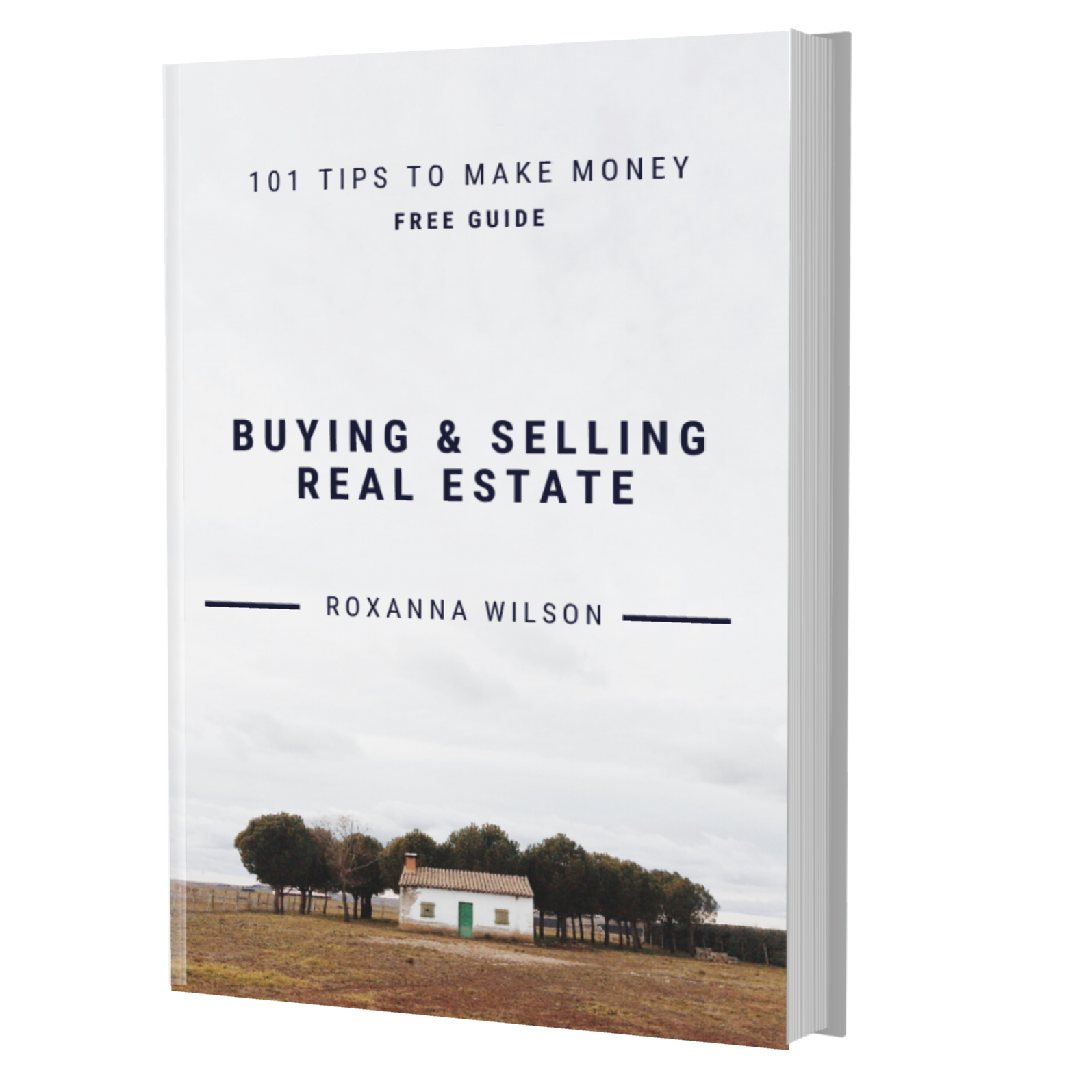 101 Tips To Make Money Buying And Selling Real Estate